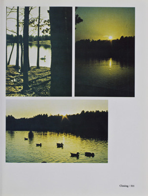Page 313