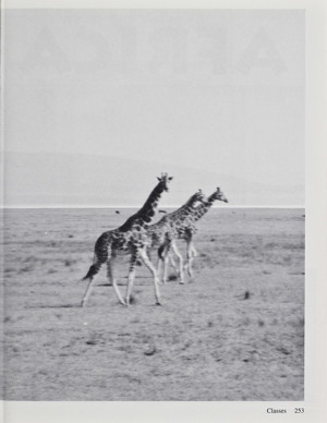 Page 254